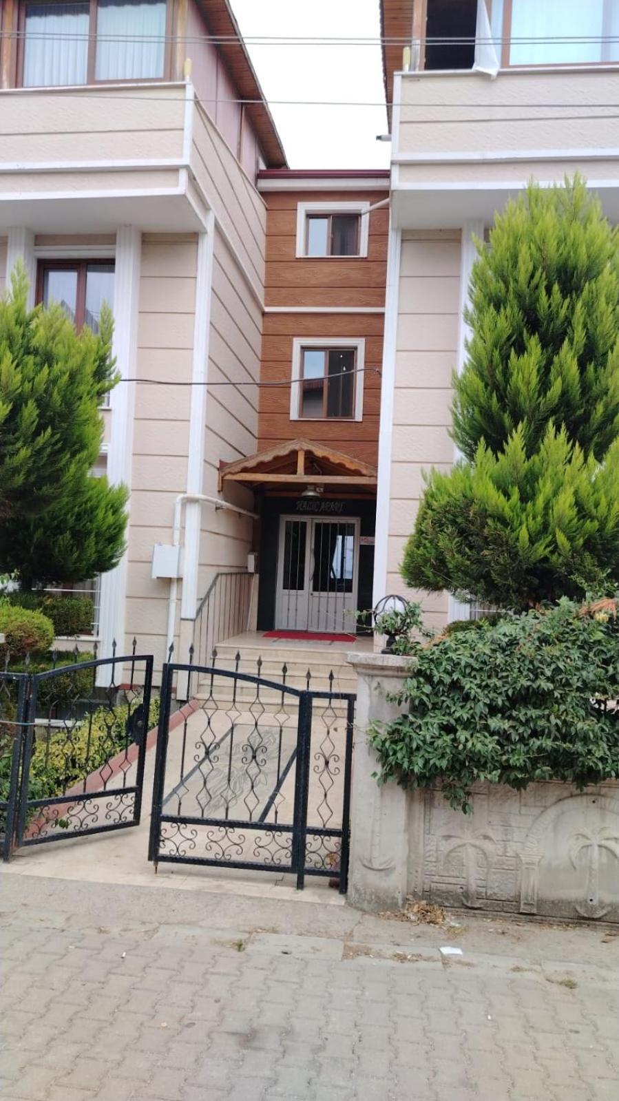 Halic *