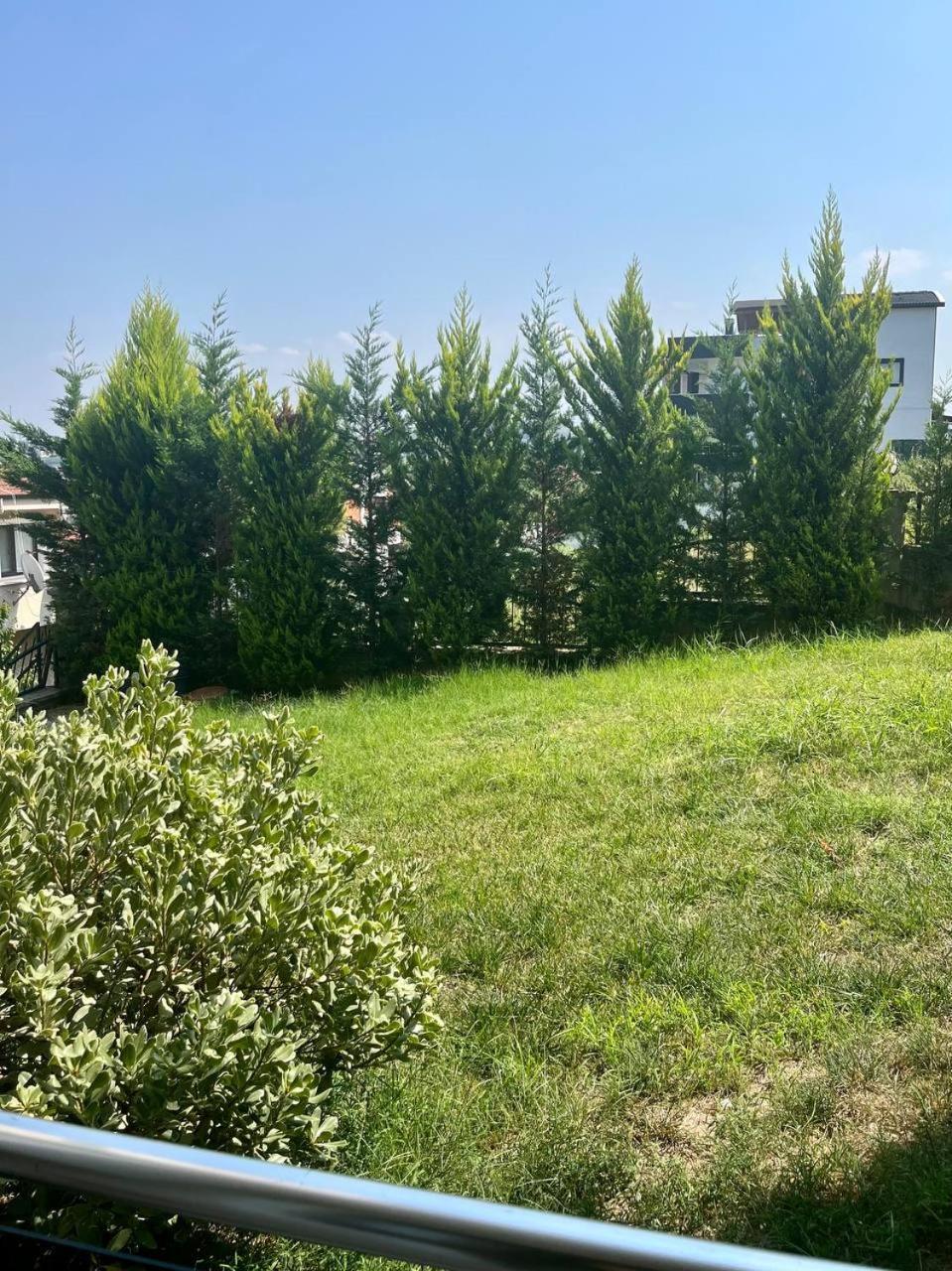 Apartment Halic *